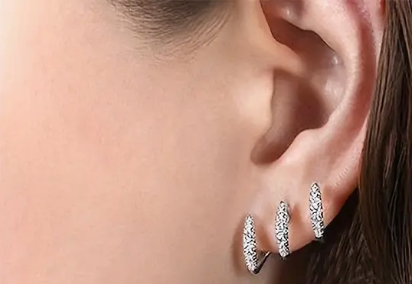 Claw Earrings