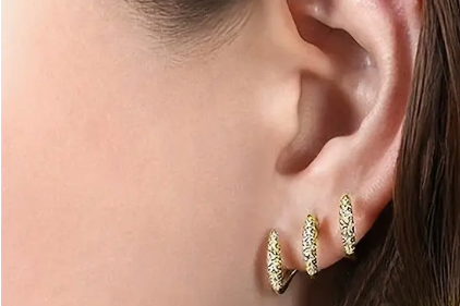 Claw Earrings